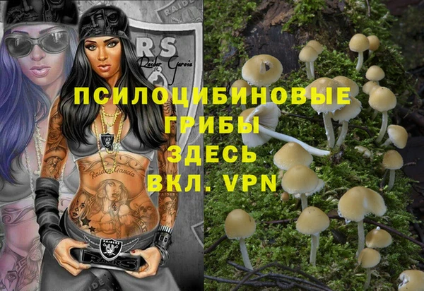 твердый Горно-Алтайск