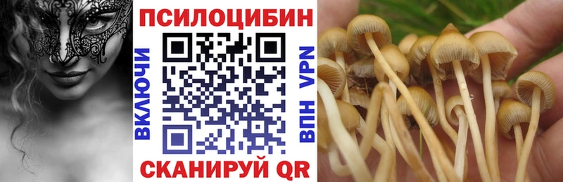 Купить закладки  Калач  Галлюциногенные грибы GOLDEN TEACHER 
